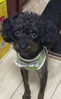 兔子爆料的视频,幕后真相大曝光  第2张 兔子爆料的视频,幕后真相大曝光  第2张