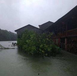 网友爆料山洪视频大全集,惊心动魄的山洪视频大全集  第3张 网友爆料山洪视频大全集,惊心动魄的山洪视频大全集  第3张