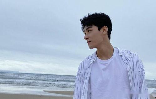 龚俊爆料视频最新版本,娱乐圈幕后真相大曝光  第3张 龚俊爆料视频最新版本,娱乐圈幕后真相大曝光  第3张