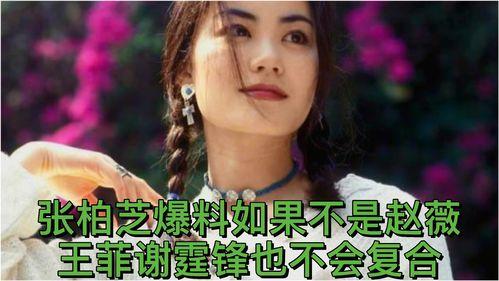 张柏芝赵薇爆料视频在线观看,娱乐圈内幕大揭秘  第3张 张柏芝赵薇爆料视频在线观看,娱乐圈内幕大揭秘  第3张