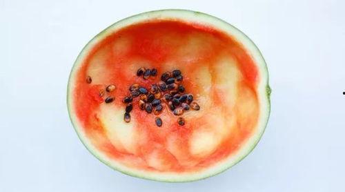 网红勺子爆款吃瓜,揭秘网络红人的爆红之路  第2张 网红勺子爆款吃瓜,揭秘网络红人的爆红之路  第2张