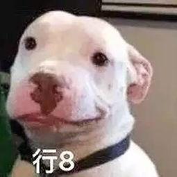 娱乐圈吃瓜公众号微信,揭秘那些不为人知的幕后故事!  第1张 娱乐圈吃瓜公众号微信,揭秘那些不为人知的幕后故事!  第1张