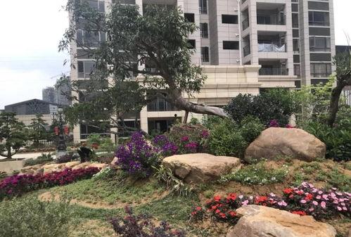 联兴花园事件爆料回应视频,真相与争议的交锋  第2张