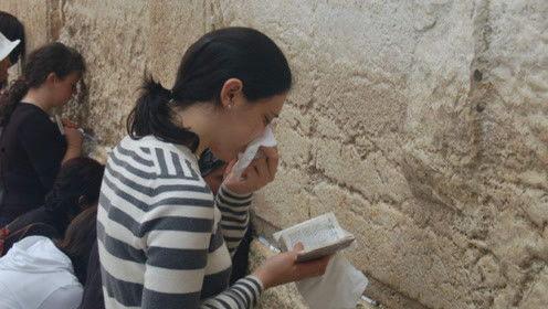 娱乐吃瓜君陶白白,陶白白带你领略娱乐圈的“瓜田”盛景  第1张 娱乐吃瓜君陶白白,陶白白带你领略娱乐圈的“瓜田”盛景  第1张