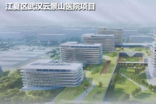 武汉医学院爆料信息最新,揭秘校园内幕与改革动向  第2张 武汉医学院爆料信息最新,揭秘校园内幕与改革动向  第2张