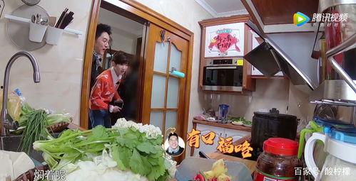 全家带凳子吃瓜免费观看,共享夏日清凉时光  第3张 全家带凳子吃瓜免费观看,共享夏日清凉时光  第3张