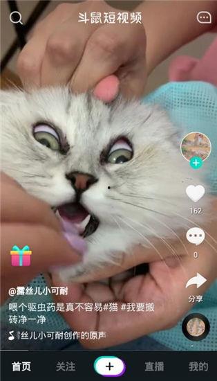 最新老鼠爆料视频下载安装,最新老鼠爆料视频下载安装全过程解析  第2张 最新老鼠爆料视频下载安装,最新老鼠爆料视频下载安装全过程解析  第2张