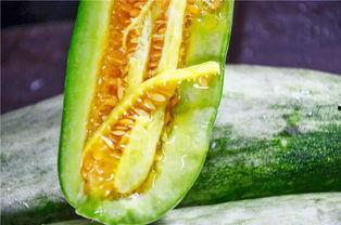 网红在线吃瓜的意义  第2张 网红在线吃瓜的意义  第2张