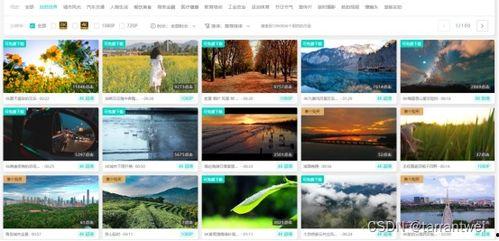 爆料视频素材下载网站,一键下载，轻松获取热门资讯！  第3张