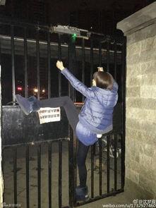 在线观看铁门  第2张 在线观看铁门  第2张