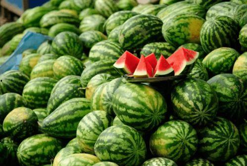 快手哪个网红吃瓜,揭秘快手网红吃瓜达人背后的故事  第2张